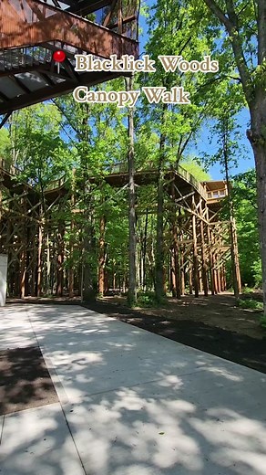 Blacklick Woods Canopy Walk: Now Open!