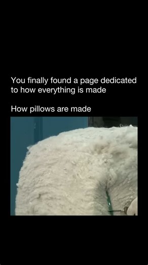 How Everything Is Made | Pillow production begins with the filling. Depending on the type, this can be polyester fiber, memory foam, latex, feathers, or down.... | Instagram