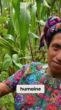 Le haricot, cette légumineuse qui a changé le monde ! #agriculture #savoirs #nature