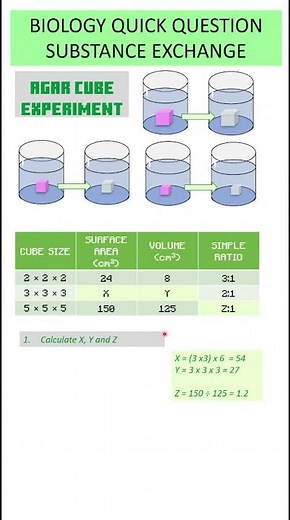 Quick Question - Biology - Agar Jelly Diffusion Experiment | GCSE Science Revision