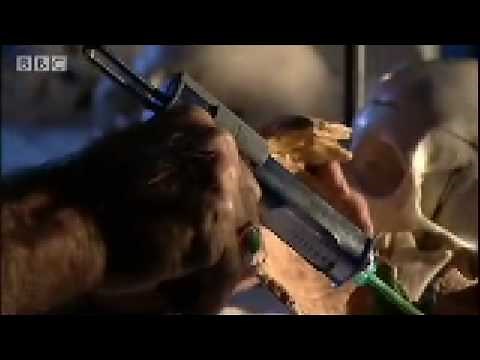 Neanderthal: Simple Minded or Intelligent? - BBC Science