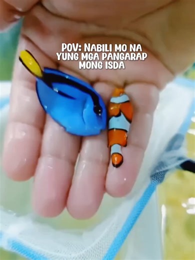 Creating a Stunning Saltwater Aquarium with Clownfish