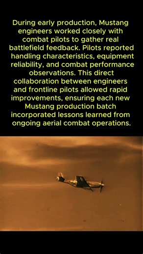 Why the P 51 Mustang Changed the Air War in Europe #WWIIAirWar #P51Mustang #BomberEscort #History