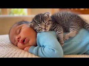 Baby & Kitten Cozy Nap Moments 😴🐱 | Cutest Cute Cat Videos Compilation 2025 Part 2