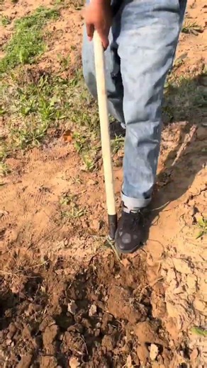 🌱🔧 Heavy-Duty Manual Digging Fork with Foot Step for Soil Tilling