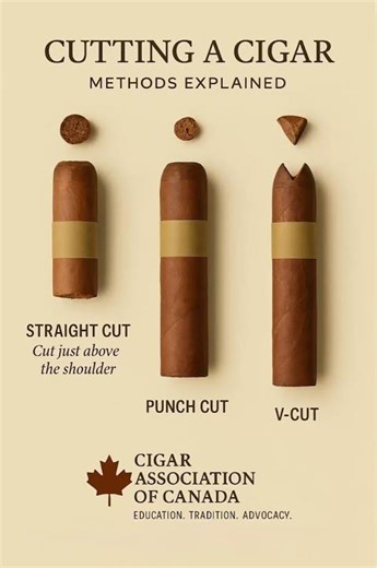 Cutting a Cigar: Methods Explained