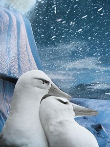 Insights through Expressive Art Therapy