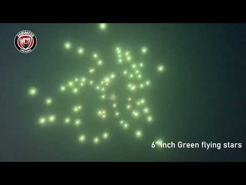 6inch Display shell-31 Green flying stars