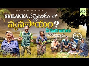 Farming In Sri Lanka 🇱🇰 | Uma Telugu Traveller