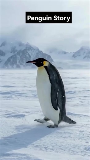 Celebrate Insurance | Health Insurence | Life Insurence on Instagram