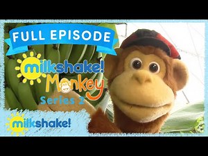Milkshake! Monkey | Top Nanas! | Full Episode