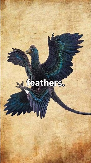 smallest dinosaur ever 🦅🤯#microraptor #dinosaur #prehistoricanimals #facts #history #prehistoric