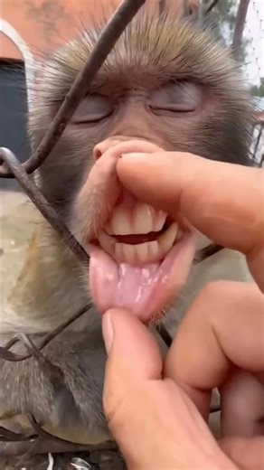 Papa it never rains #funny