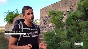 46K views · 1.3K reactions | Gran Canaria es el lugar con más embalses por km2 en todo el mundo, unas presas que en muchos casos dejan paisajes espectaculares que descubrimos en este reportaje de Elena Chedas y Ernesto Santana. #unahoramenos, de lunes a viernes a las 21:30h en RadioTelevisión Canaria - RTVC.es . Una producción de Videoreport Canarias . La Plataforma de la Tele | Una Hora Menos | Facebook