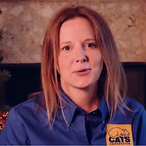 479K views · 2.4K reactions | NEW Simon's Cat Logic episode OUT NOW!    How to keep your cats safe and entertained this festive season. Check it out below, and keep watching for a bonus collection of 4 of our classic B&W Christmas episodes! | Simon's Cat | Facebook