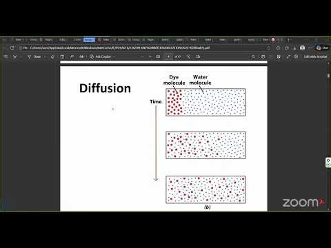 Plant physiology Water Relations
