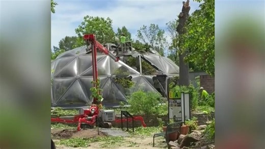 Countless butterflies were set loose by a tornado at the Saint Louis Zoo. Here's how staff recaptured them