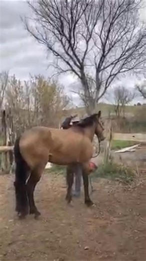 Ray Runnels on Reels