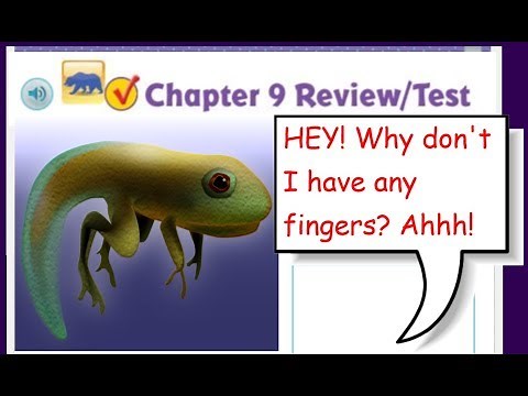 Go Math 5th Grade Chapter 9 Review Part 1 *UPDATED*
