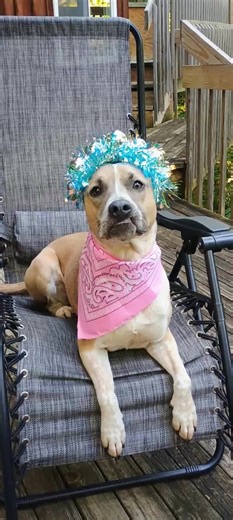 Doin my little snorfel boo thing 🪩🪩🪩