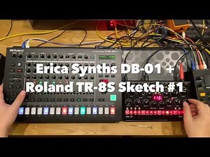Erica Synths DB-01 Bassline + Roland TR-8S sketch #1