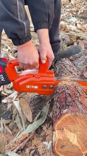 Man is cutting a thick tree branch using a small electric chainsaw