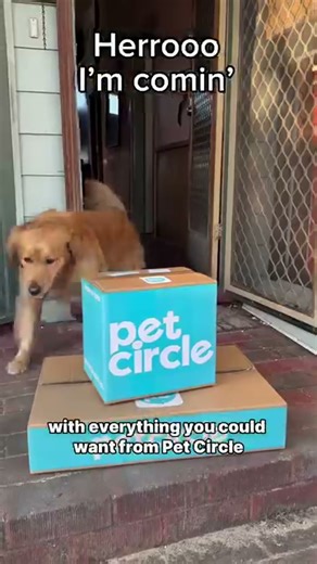 Making Cinnamon’s dream home a reality with a dash of DIY and a whole lot of help from —mini barn