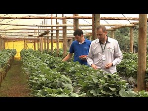 Rural Extension in the southern region of the country