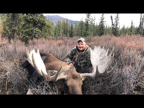 2019 Alaska moose. Full video of the moose hunt.