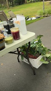 36K views · 564 reactions | It’s magic ✨ I can’t explain 殺 #yardsales Let me know some of your amazing yard sale or thrift finds this weekend 殺 | Juliet’s Finds | Facebook