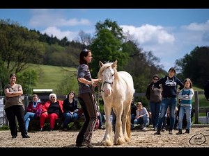 Trainer-Ausbildung an der Akademie für ganzheitliches Pferdetraining