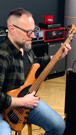 Adamovic Bass & Eich Amp