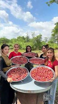 Cooking yummy fresh plum fruit to make jelly recipe