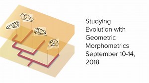 Join our #TScourses on Geometric Morphometric and shape your future ;) More information: https://www.transmittingscience.org/courses/geometric-morphometrics/ | Transmitting Science | Facebook