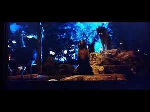 Zookeeper (2011) Meeting Scene