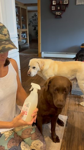 16K views · 153 reactions | Comment LINK below for a link to the...