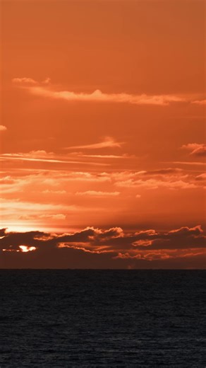 2.8K views · 4 comments |  Hey friends!  Guess what?  We've got...