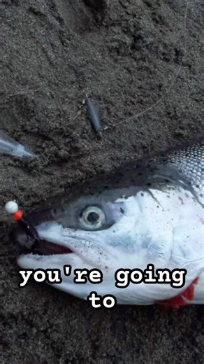 🔥 LOOK OUT!!🔥Steelhead fear this jig