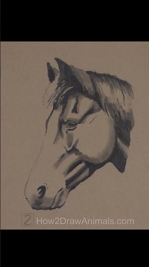 Horse Sketch (Pen and Markers)