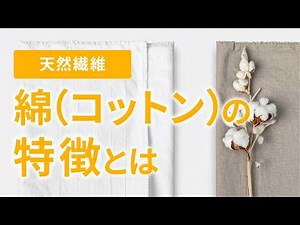 【天然繊維】綿（コットン）の特徴とは【スライド資料】