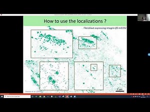 Advanced SMLM Colocalization, Statistical tools for analyzing spatial objects distribution [NA@Home]