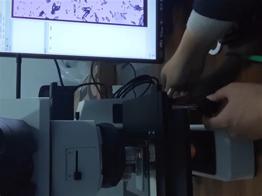 电子显微镜的使用