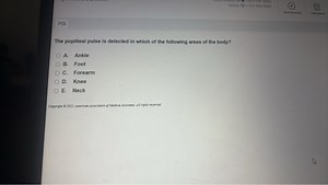 The popliteal pulse is detected in which of the following areas... | Filo