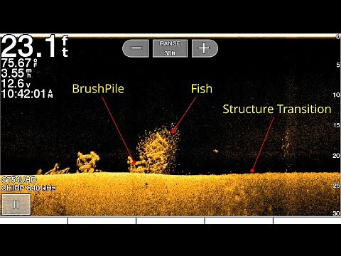 Down Imaging Best Settings (How to use Fish Finder)