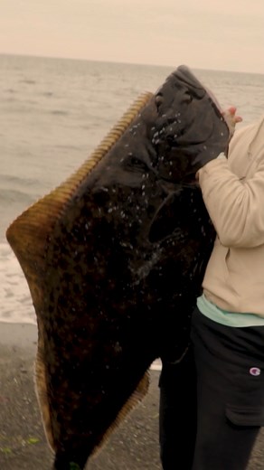 98K views · 1.8K reactions | Shore Fishing Alaska! #EPIC #Alaskafishing #Dreams | Coastal WorldWide | Facebook