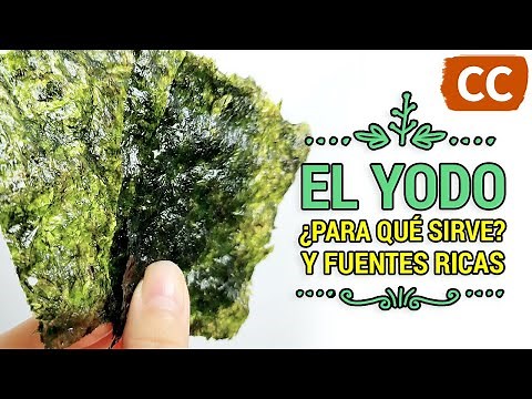 El Yodo, ¿Para qué sirve? y Fuentes Ricas | Ciencia de la Comida
