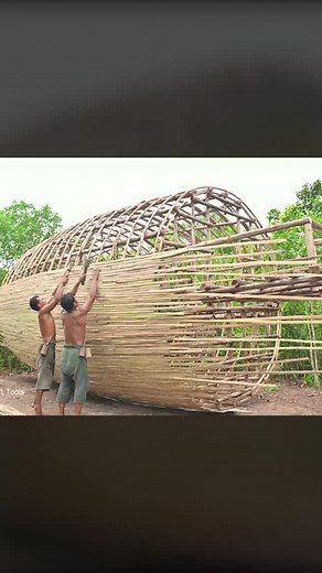 Construindo Abrigo Primitivo para Sobrevivência