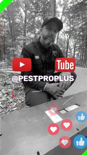 ⚠️ Think trapping a skunk is easy? Think again! 👃