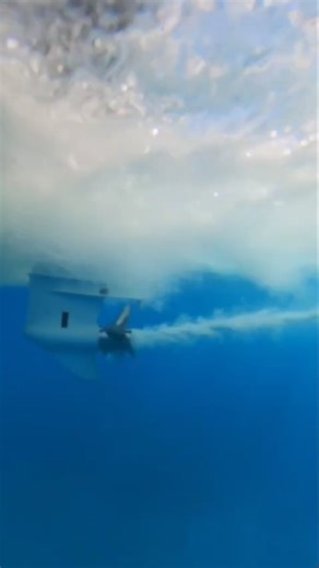 Propelling!!! #boat #boatlife #outboard #suzukimarine #miamiboat #fishing #boat #suzuki | Alamar Miami