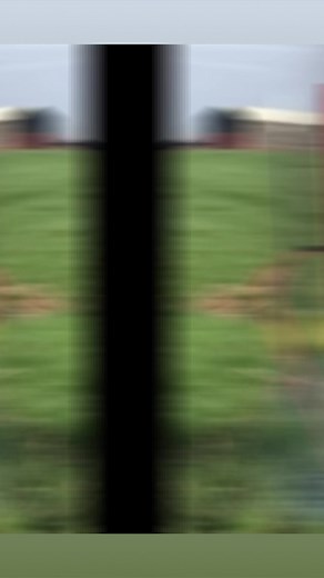 1.5K views · 16 reactions | Man Saver Post Driver - the only reliable help you’ll ever need for your fencing projects!  #mansaverpostdriver #postdriver #mansaver #tpost #fencing #fence #ranching #farming #worksmartnothard #backsaver #efficient #reliable #madeintheusa #familyowned #familyoperated #usa #usamade #quality #durability #centraloregon #american #americanmade | Man Saver Post Driver | Facebook